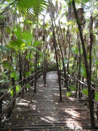 Bacab Jungle Bamboo Bridge