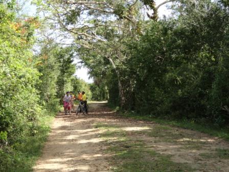 Bacab Eco Junglel Bike Trail