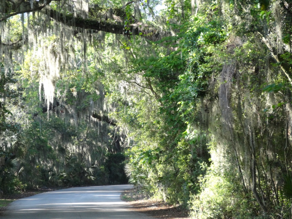 Fort Clinch State Park