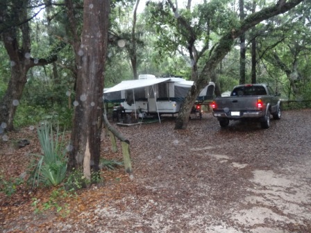 Our Campsite in Fort Clinch State Park