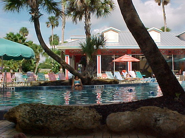 Tropocal Palms Pool